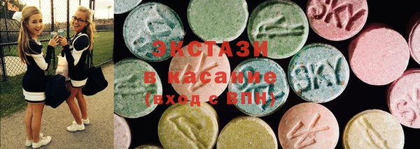 твердый Аркадак