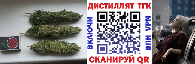 ТГК гашишное масло Могоча