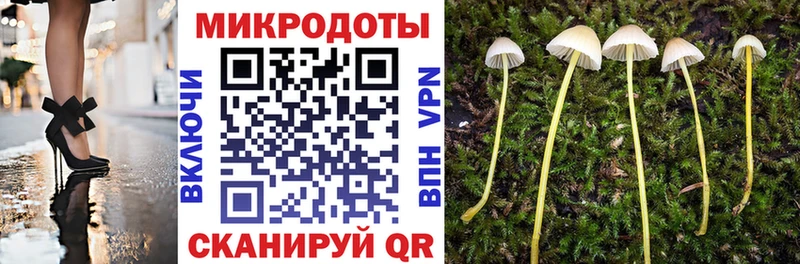 купить   Могоча  Псилоцибиновые грибы Psilocybine cubensis 